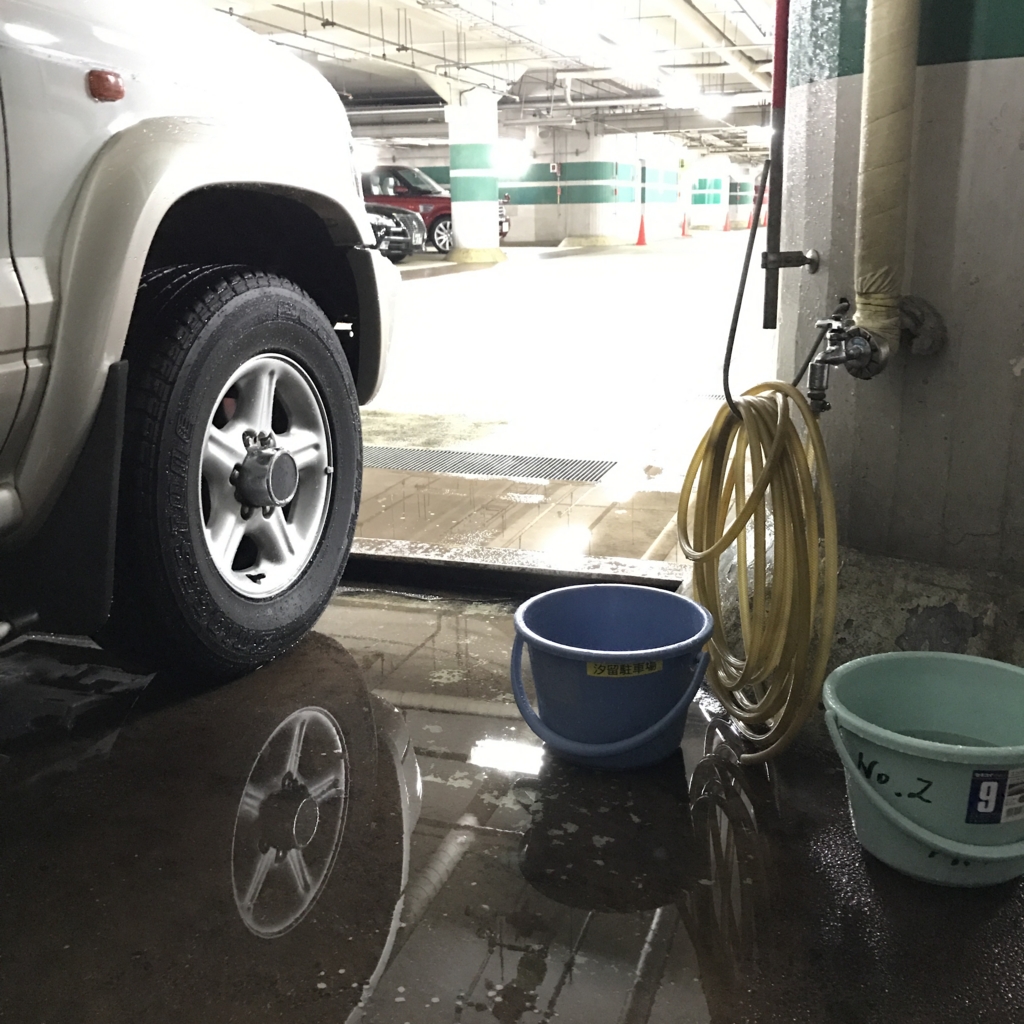 洗車の様子